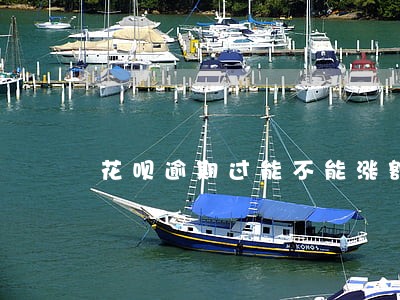 花呗逾期过能不能涨额度 花呗逾期过能不能涨额度