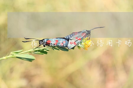 花呗逾期过能办信用卡吗光大 花呗逾期过能办信用卡吗光大