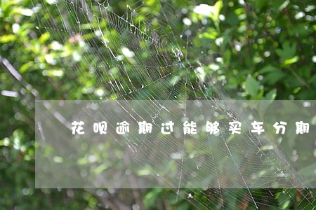 花呗逾期过能够买车分期吗 花呗逾期过能够买车分期吗