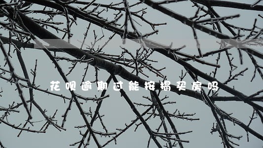 花呗逾期过能按揭买房吗