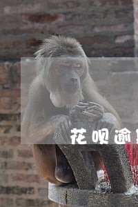 花呗逾期过能申请征信 花呗逾期过能申请征信