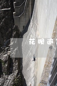 花呗逾期过芝麻信用一月涨一分 花呗逾期过芝麻信用一月涨一分