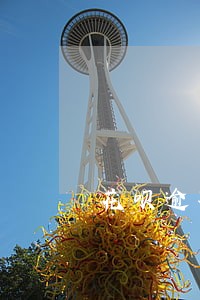 花呗逾期过还可以申请信用卡吗 花呗逾期过还可以申请信用卡吗