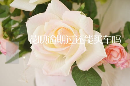 花呗逾期过还能买车吗 花呗逾期过还能买车吗