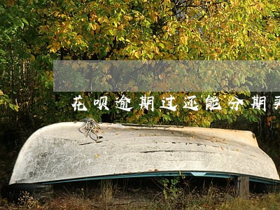 花呗逾期过还能分期买手机吗 花呗逾期过还能分期买手机吗