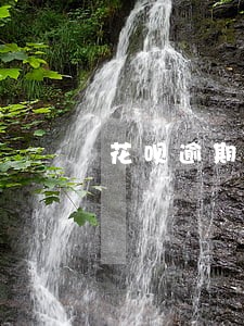 花呗逾期过还能恢复用吗 花呗逾期过还能恢复用吗