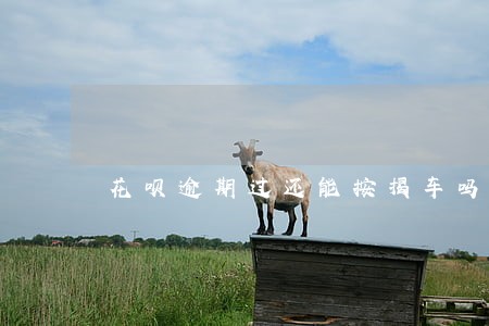 花呗逾期过还能按揭车吗 花呗逾期过还能按揭车吗