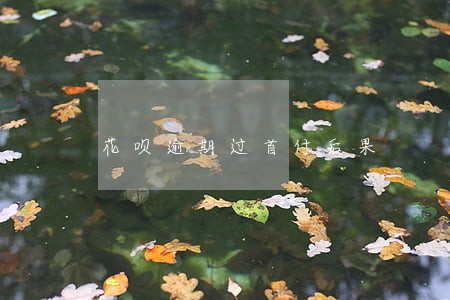 花呗逾期过首付后果 花呗逾期过首付后果