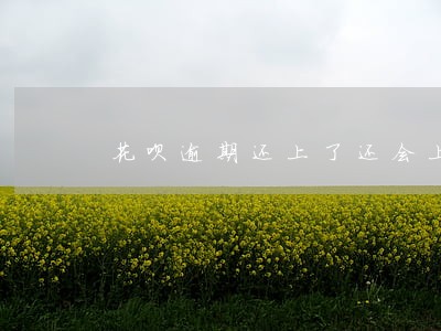 花呗逾期还上了还会上失信名单吗 花呗逾期还上了还会上失信名单吗