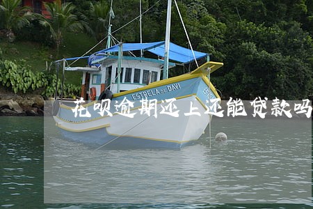花呗逾期还上还能贷款吗 花呗逾期还上还能贷款吗