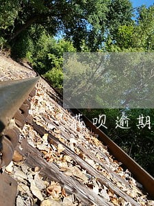 花呗逾期还不上利息是多少