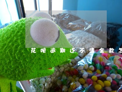 花呗逾期还不清全款怎么办 花呗逾期还不清全款怎么办