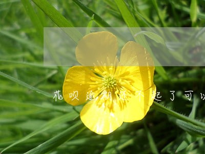 花呗逾期还不起了可以分期吗 花呗逾期还不起了可以分期吗