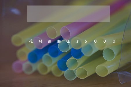 花呗逾期还了5000