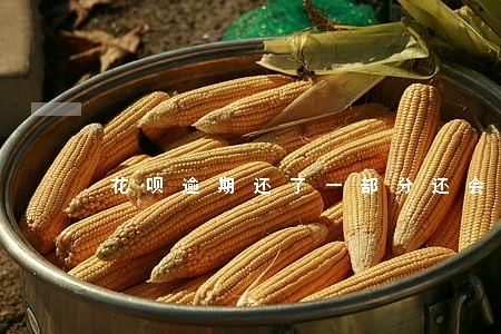 花呗逾期还了一部分还会打电话嘛 花呗逾期还了一部分还会打电话嘛