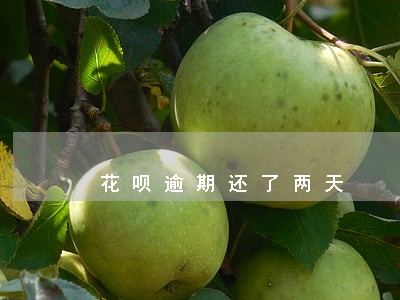 花呗逾期还了两天 花呗逾期还了两天
