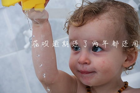 花呗逾期还了两年都还用不起 花呗逾期还了两年都还用不起