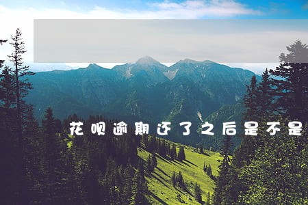 花呗逾期还了之后是不是就关闭了 花呗逾期还了之后是不是就关闭了