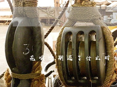 花呗逾期还了什么时候能恢复使用 花呗逾期还了什么时候能恢复使用