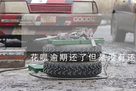 花呗逾期还了但是没有还清 花呗逾期还了但是没有还清