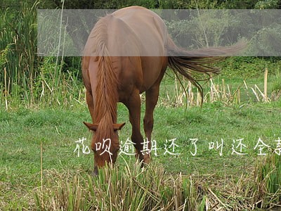 花呗逾期还了叫还全款 花呗逾期还了叫还全款