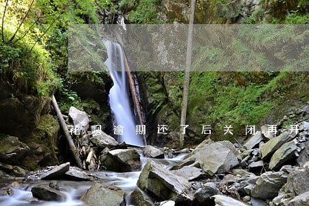花呗逾期还了后关闭再开通吗 花呗逾期还了后关闭再开通吗