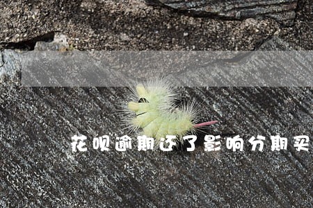 花呗逾期还了影响分期买车吗 花呗逾期还了影响分期买车吗