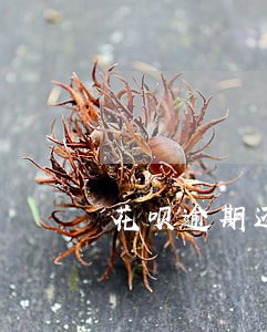 花呗逾期还了显示账户异常 花呗逾期还了显示账户异常