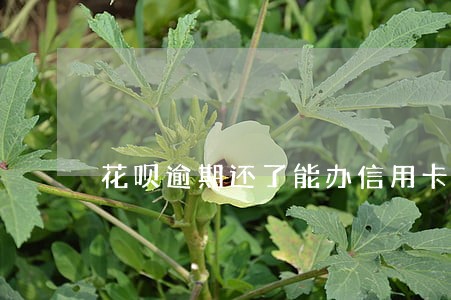 花呗逾期还了能办信用卡吗 花呗逾期还了能办信用卡吗