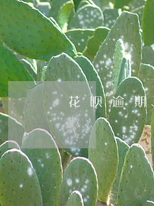 花呗逾期还了能用但是额度没有了 花呗逾期还了能用但是额度没有了