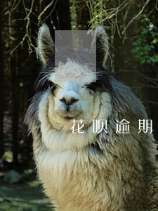 花呗逾期还了能立马恢复吗