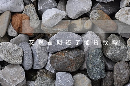 花呗逾期还了能贷款吗 花呗逾期还了能贷款吗
