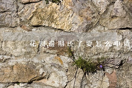 花呗逾期还了要怎么申请继续使用 花呗逾期还了要怎么申请继续使用