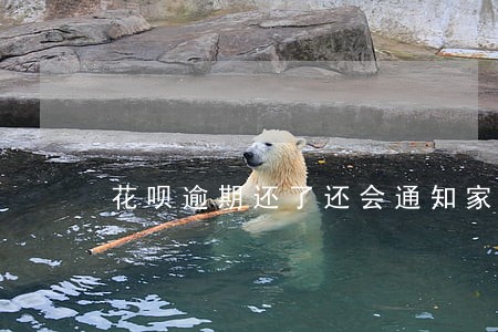 花呗逾期还了还会通知家里人吗 花呗逾期还了还会通知家里人吗