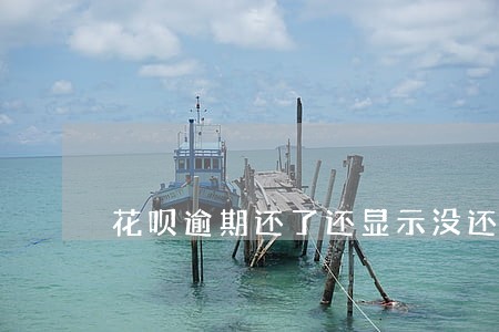 花呗逾期还了还显示没还 花呗逾期还了还显示没还