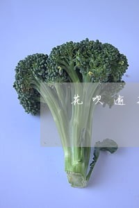花呗逾期还了还能办信用卡吗 花呗逾期还了还能办信用卡吗