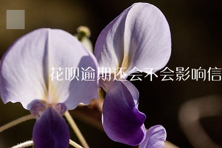 花呗逾期还会不会影响信用 花呗逾期还会不会影响信用