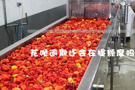 花呗逾期还会在提额度吗 花呗逾期还会在提额度吗
