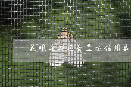花呗逾期还会显示信用良好嘛 花呗逾期还会显示信用良好嘛