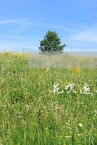 花呗逾期还会有每月账单吗 花呗逾期还会有每月账单吗
