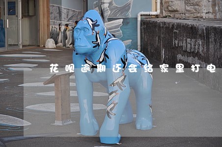 花呗逾期还会给家里打电话嘛 花呗逾期还会给家里打电话嘛