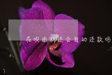 花呗逾期还会自动还款吗 花呗逾期还会自动还款吗