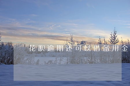 花呗逾期还可以借备用金吗 花呗逾期还可以借备用金吗
