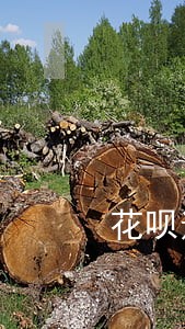 花呗逾期还可以借钱