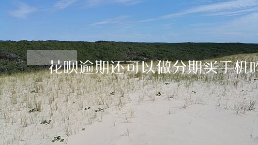 花呗逾期还可以做分期买手机吗 花呗逾期还可以做分期买手机吗