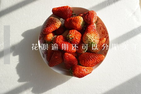 花呗逾期还可以分期买手机不 花呗逾期还可以分期买手机不
