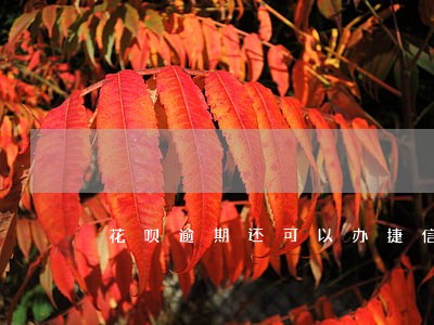 花呗逾期还可以办捷信分期吗 花呗逾期还可以办捷信分期吗