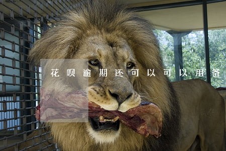 花呗逾期还可以可以用备用金么 花呗逾期还可以可以用备用金么
