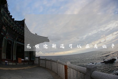 花呗逾期还可以在其他平台借款吗 花呗逾期还可以在其他平台借款吗