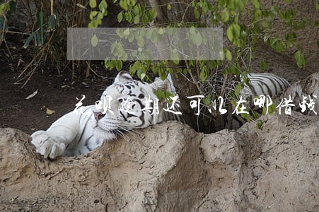 花呗逾期还可以在哪借钱 花呗逾期还可以在哪借钱